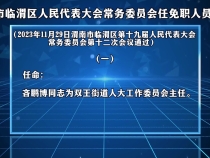 渭南市临渭区人民代表大会常务委员会任免职人员名单