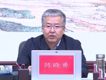 陈晓勇讲授主题教育专题党课
