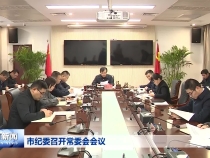 市纪委召开常委会会议