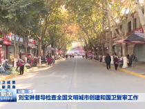刘宝琳督导检查全国文明城市创建和国卫复审工作