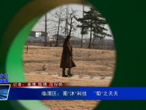 《振兴乡村 美好临渭》临渭区：葡“沐“科技  ”萄“之夭夭