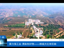 聚力强工业 渭南有好物——韩城大红袍花椒