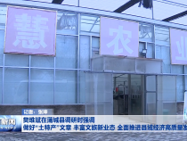 樊维斌在蒲城县调研时强调 做好“土特产”文章 丰富文旅新业态 全面推进县域经济高质量发展