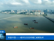 【渭南科普】科普中国——城市生态空间增汇减碳技术