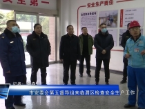 市安委会第五督导组来临渭区检查安全生产工作