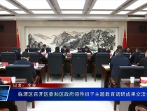 临渭区召开区委和区政府领导班子主题教育调研成果交流会