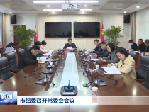 市纪委召开常委会会议