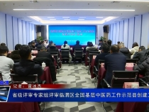 省级评审专家组评审临渭区全国基层中医药工作示范县创建工作
