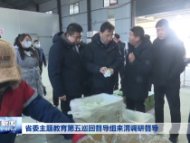 省委主题教育第五巡回督导组来渭调研督导