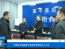 【渭南应急】市森防办督查富平县森林草原防灭火工作