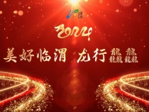 “美好临渭 龙行龘龘”2024迎新年文艺汇演精彩纷呈