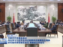 市委召开常委会会议 传达学习习近平总书记重要讲话重要指示精神 研究我市贯彻落实意见 樊维斌主持会议