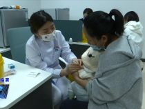 临渭区解放街道社区卫生服务中心：提升服务质量  守护辖区群众健康