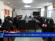 中共渭南市临渭区委十七届七次全会暨区委经济工作会议进行分组讨论