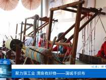 【渭南工信】聚力强工业 渭南有好物——蒲城手织布