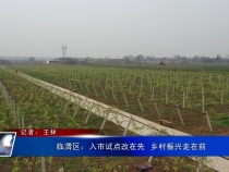 临渭区：入市试点改在先  乡村振兴走在前