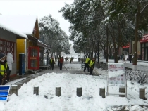 临渭区：全区总动员  清雪保畅