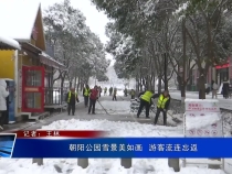 朝阳公园雪景美如画  游客流连忘返