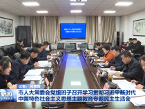 市人大常委会党组班子召开学习贯彻习近平新时代中国特色社会主义思想主题教育专题民主生活会