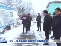 省人大常委会调研组来渭开展专题调研