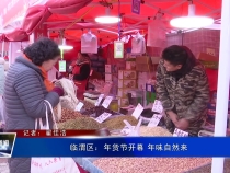 临渭区：年货节开幕 年味自然来