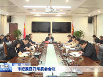 市纪委召开常委会会议
