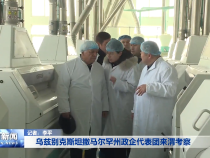 乌兹别克斯坦撒马尔罕州政企代表团来渭考察