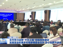 全市学习运用“千万工程”经验加快建设宜居宜业和美乡村观摩调度会召开 王心出席并讲话
