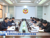 王晓军参加主题教育专题组织生活会