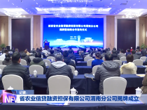 省农业信贷融资担保有限公司渭南分公司揭牌成立