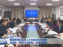 陈晓勇带队到市人大常委会和市政协征求对《政府工作报告》的意见建议