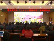 临渭区阎村镇：载歌载舞迎新春 凝聚人心谋发展