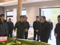 樊维斌在华阴市调研文旅产业高质量发展工作时强调 做强做优华山旅游大文章 加快建设国际山水旅游名市