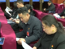渭南市临渭区第十九届人民代表大会第三次会议开幕