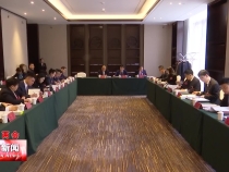 刘凯到市六届人大四次会议华阴市代表团与代表们共同审议政府工作报告
