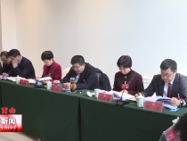 王心到市六届人大四次会议潼关县代表团与代表们共同审议政府工作报告