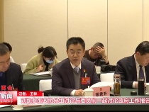刘凯参加政协分组讨论与委员们一起讨论政府工作报告
