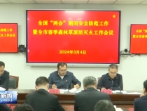 全国两会期间安全防范工作暨全市春季森林草原防灭火工作视频会议召开