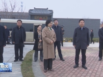 窦敬丽在澄城县调研乡村振兴工作