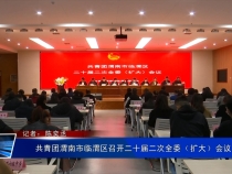 共青团渭南市临渭区召开二十届二次全委（扩大）会议