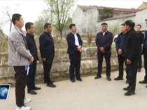 菊峰调研渭北排水碱工程恢复保护工作
