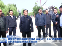 樊维斌在合阳县调研时强调 以深化“三个年”活动为抓手 加快推动县域经济高质量发展