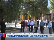 市政协开展专题协商调研 让古树名木枝繁叶茂