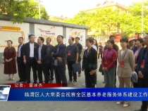 临渭区人大常委会视察全区基本养老服务体系建设工作