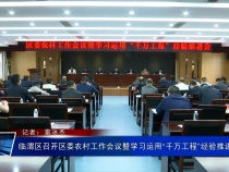 临渭区召开区委农村工作会议暨学习运用“千万工程”经验推进会