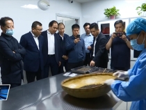 富平县政协来临渭区调研医养结合工作