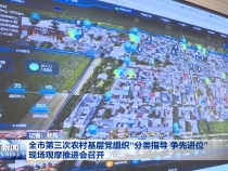 全市第三次农村基层党组织“分类指导 争先进位”现场观摩推进会召开
