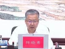 陈晓勇主持召开市政府常务会议 研究安全生产和稳就业等工作