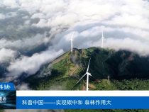 【渭南科普】科普中国——实现碳中和 森林作用大