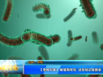 【健康渭南】急救科普：被猫狗咬伤  这些知识能救命